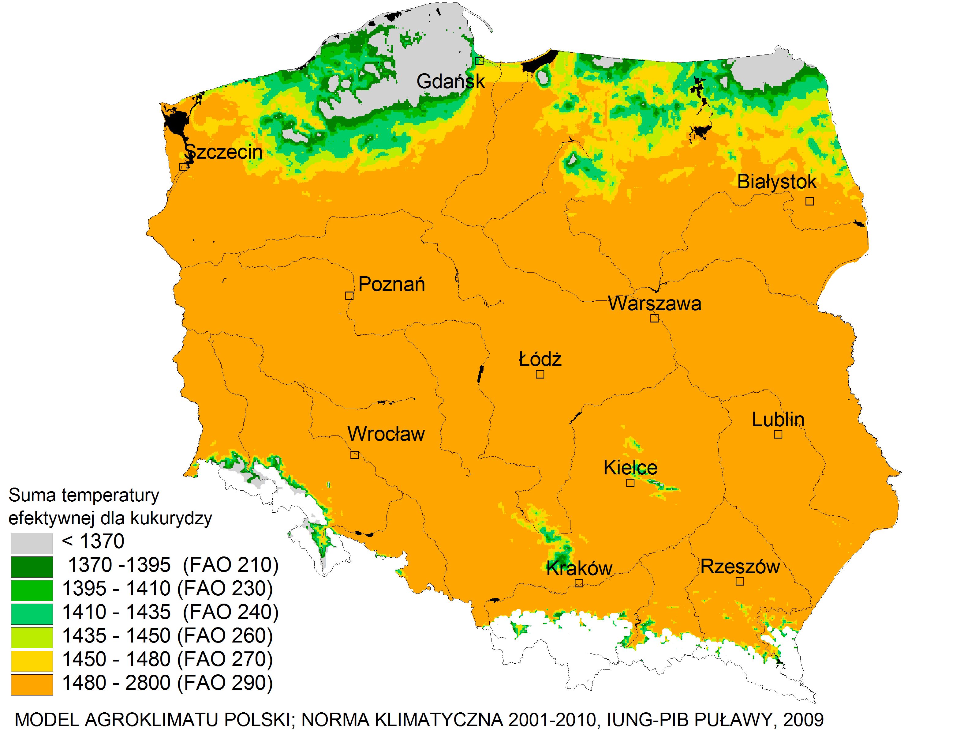 Suma temperatury efektywnej dla kukurydzy